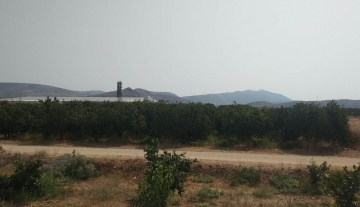 Πωλείται οικόπεδο-αγρόκτημα 3.538 τ.μ στην Αγία Τριάδα Αργολίδας