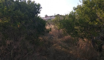 Πωλείται στην Πλάκα Δρεπάνου οικόπεδο 4,5 στρέμματα.