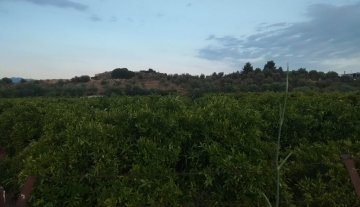 Πωλείται στο πανέμορφο Τολό Αργολίδας κτήμα-οικόπεδο 8 στρέμμματα
