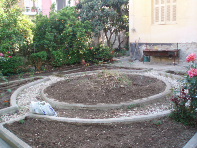 P1010075.JPG