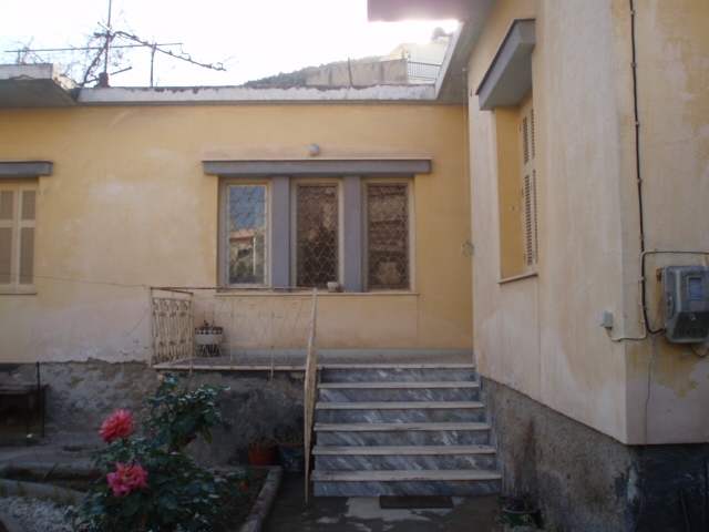 P1010076.JPG