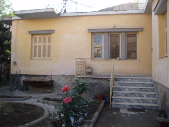 P1010077.JPG