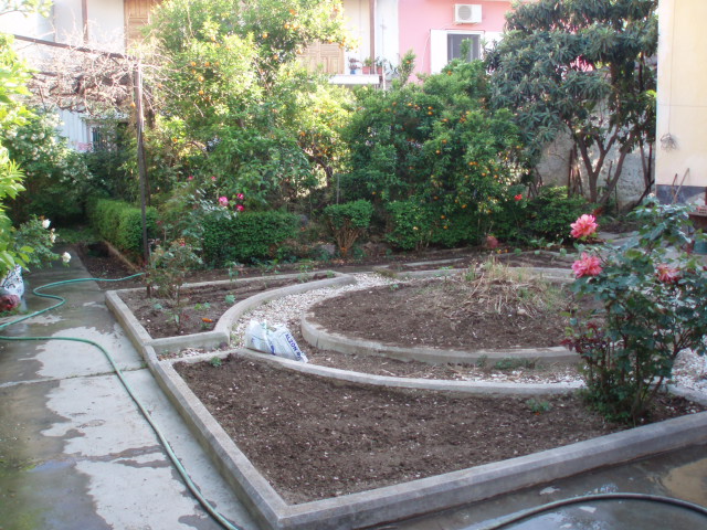 P1010079.JPG