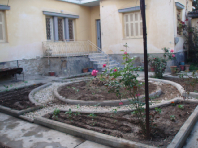 P1010083.JPG