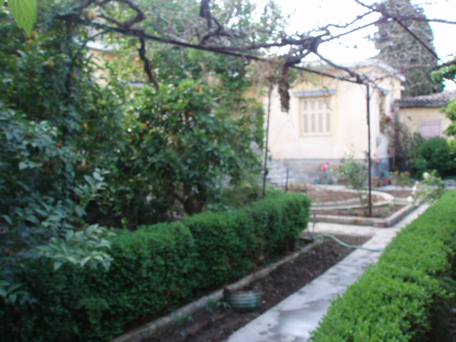 P1010092.JPG