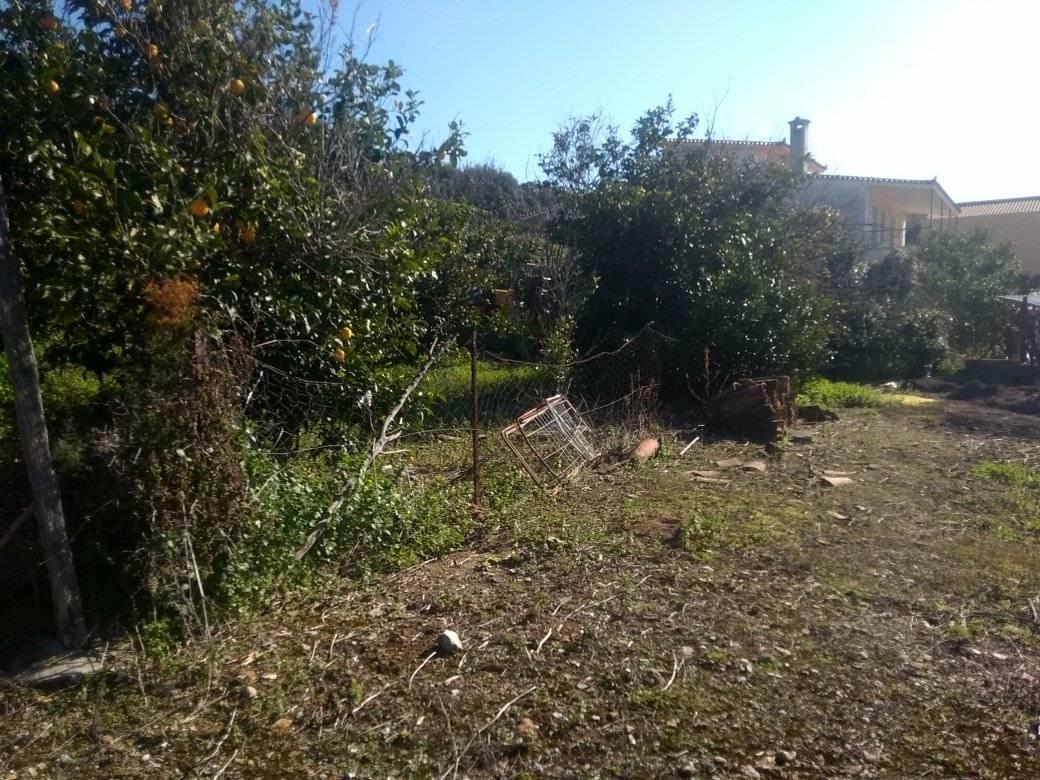 for-sale-plot1.jpg