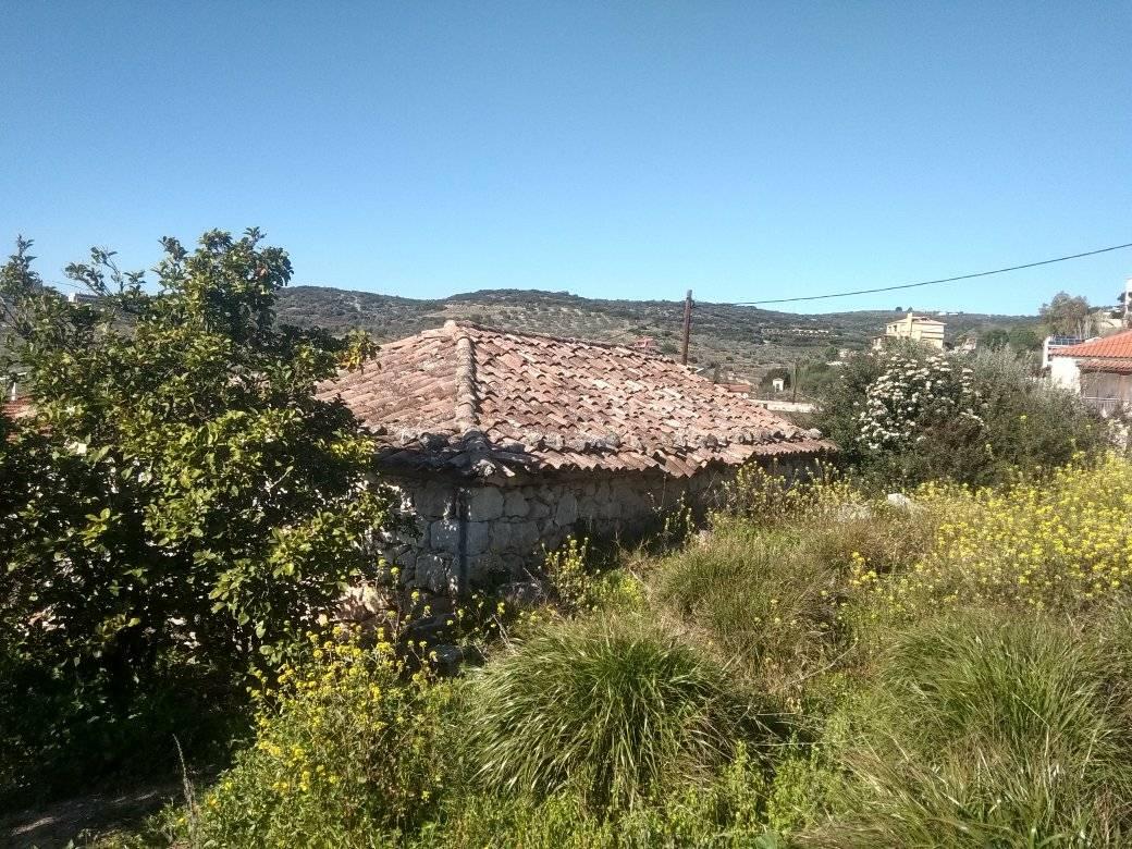 for-sale-plot3.jpg