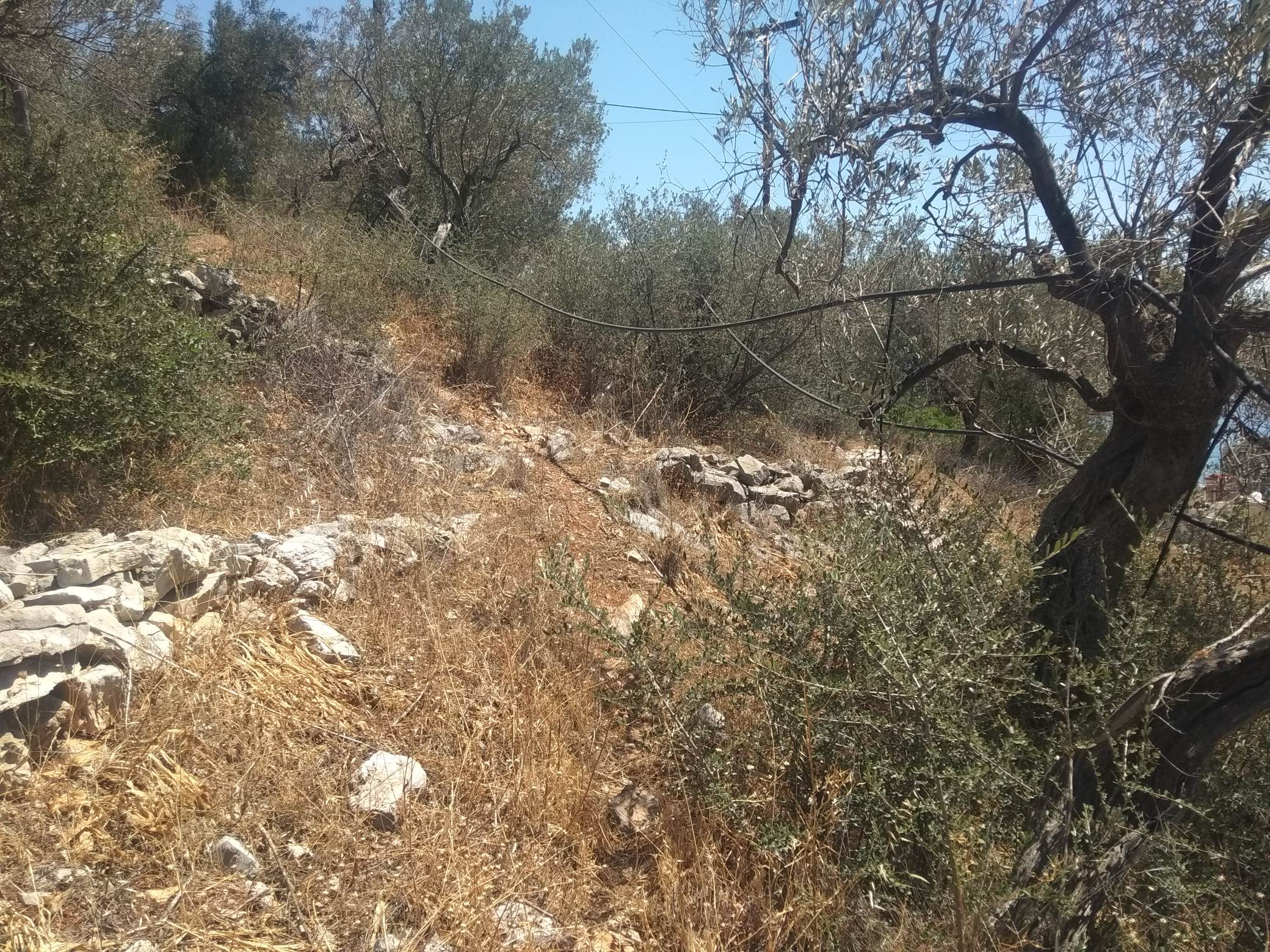 forsale-plot-Xiropigado-arkadias4.jpg