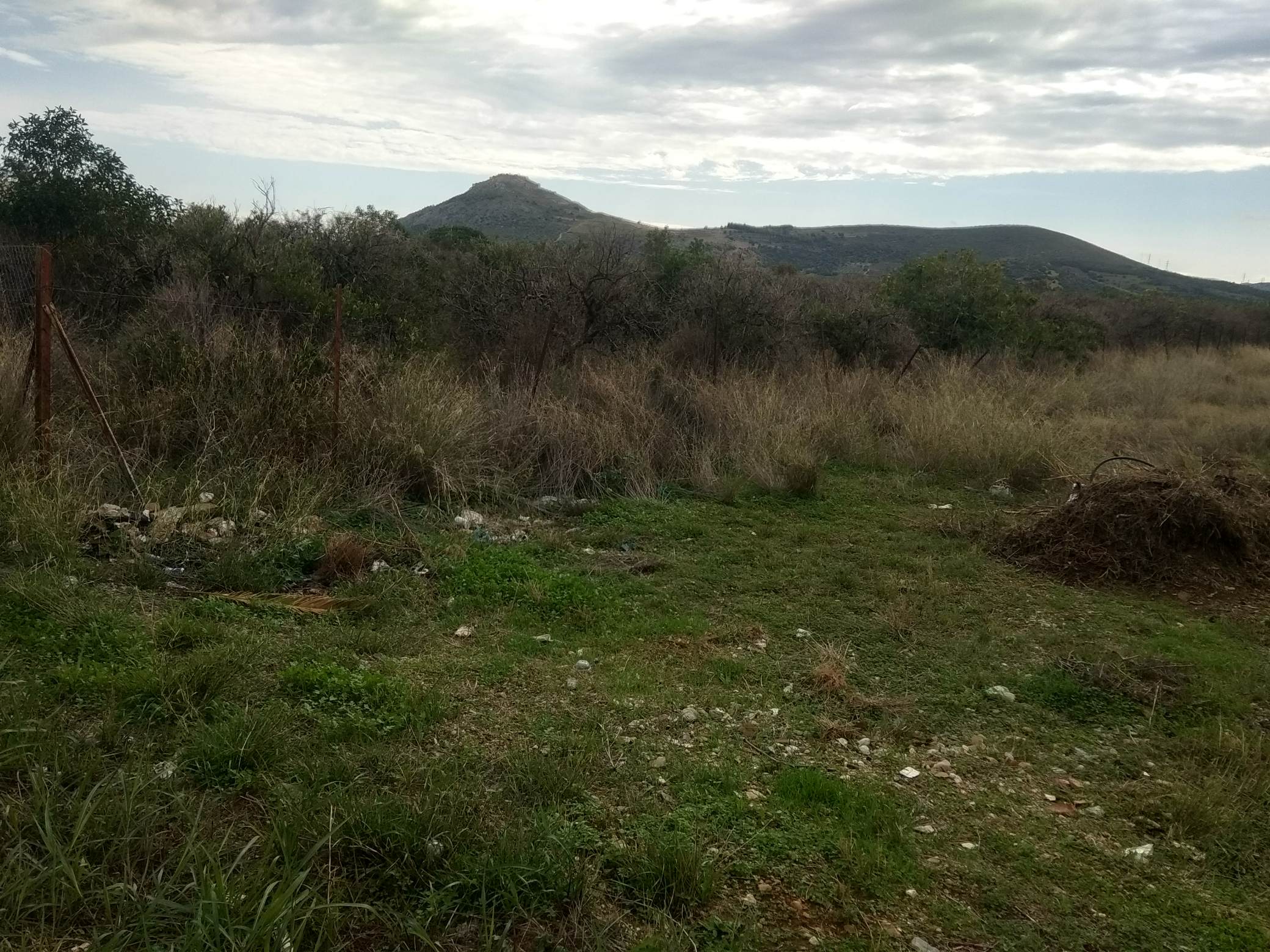 forsale-plot-aerodromio-argos-argolida.jpg