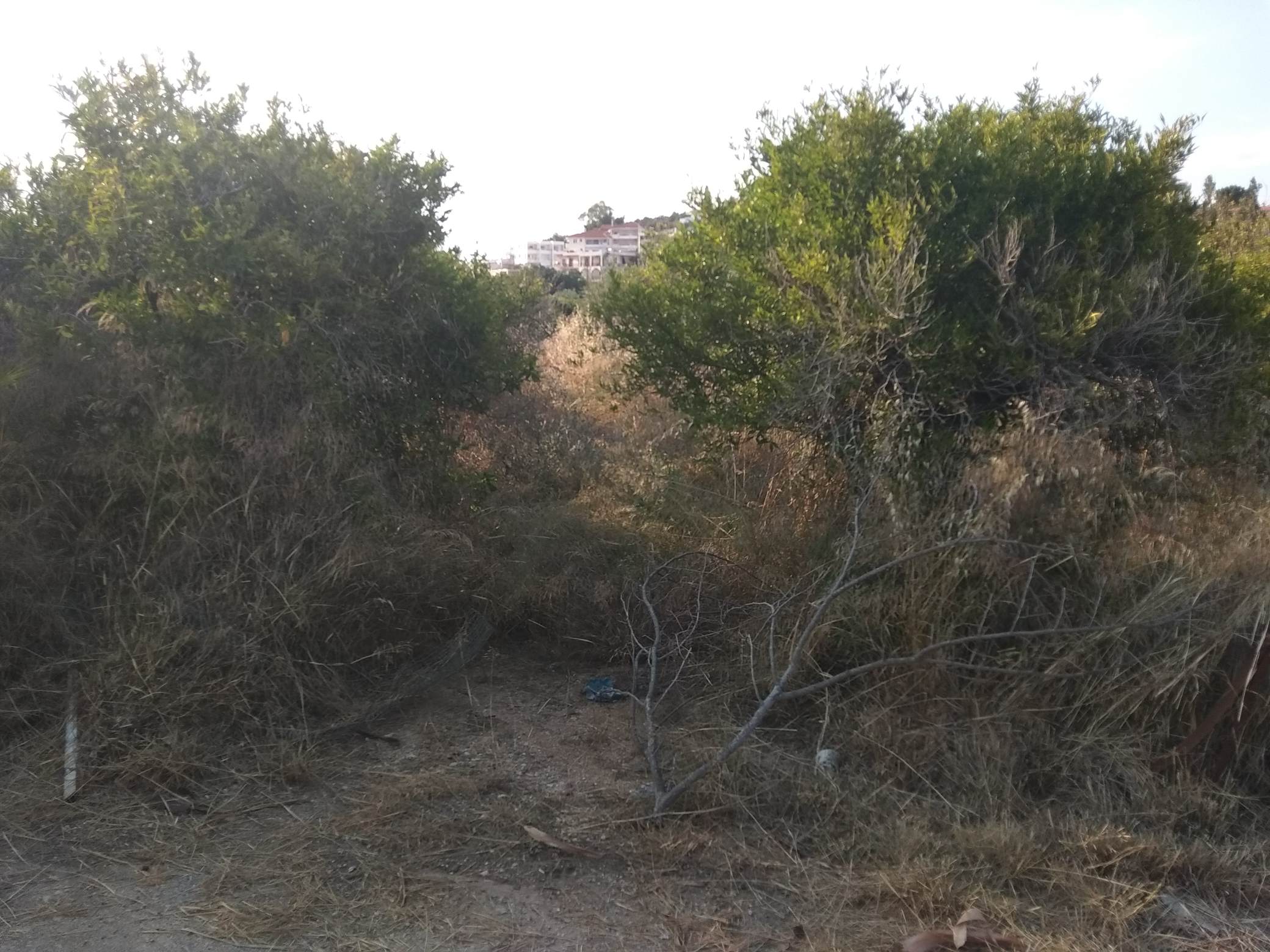 forsale-plot-drepano-plaka-argolida.jpg