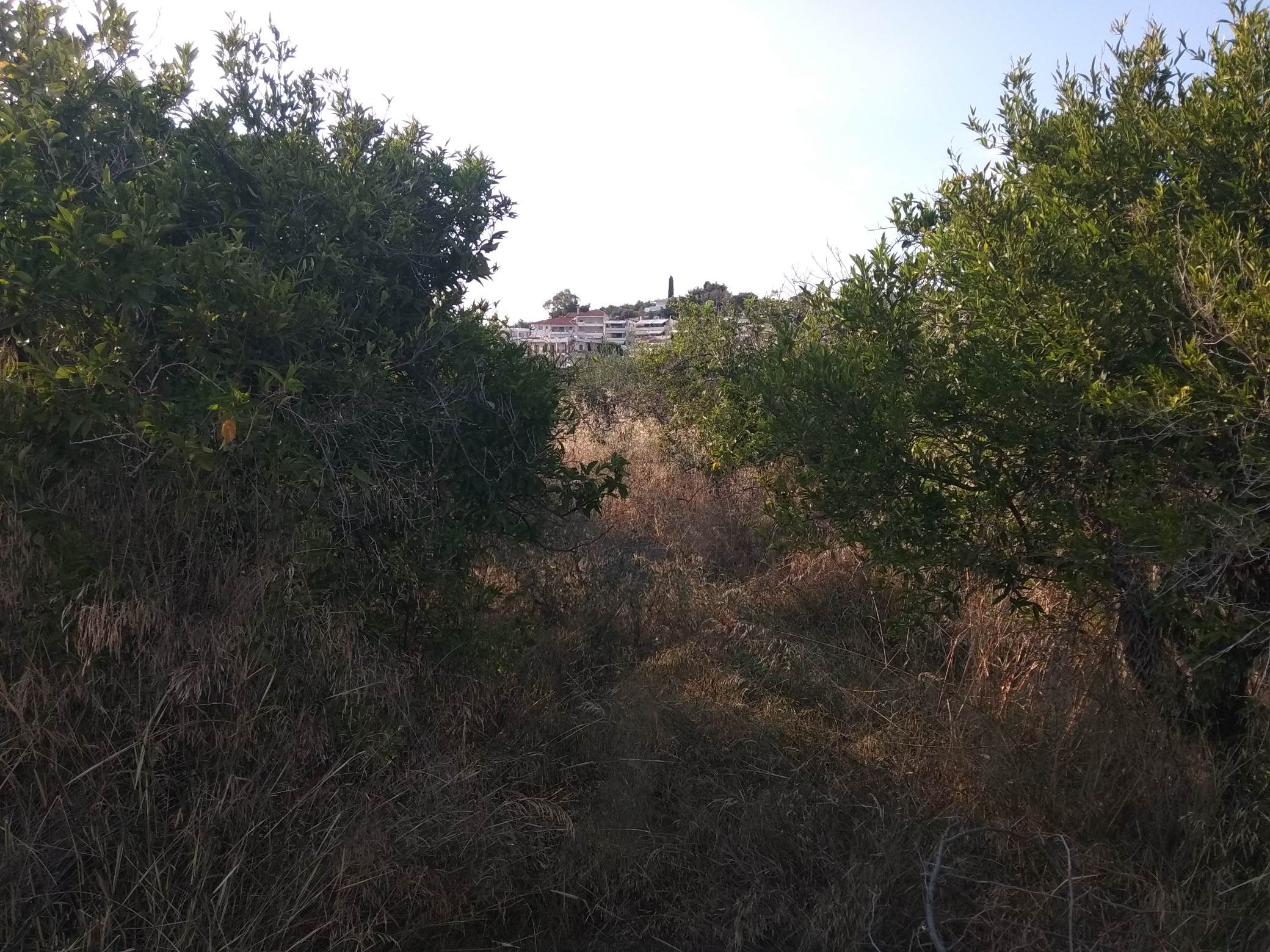 forsale-plot-drepano-plaka-argolida2.jpg