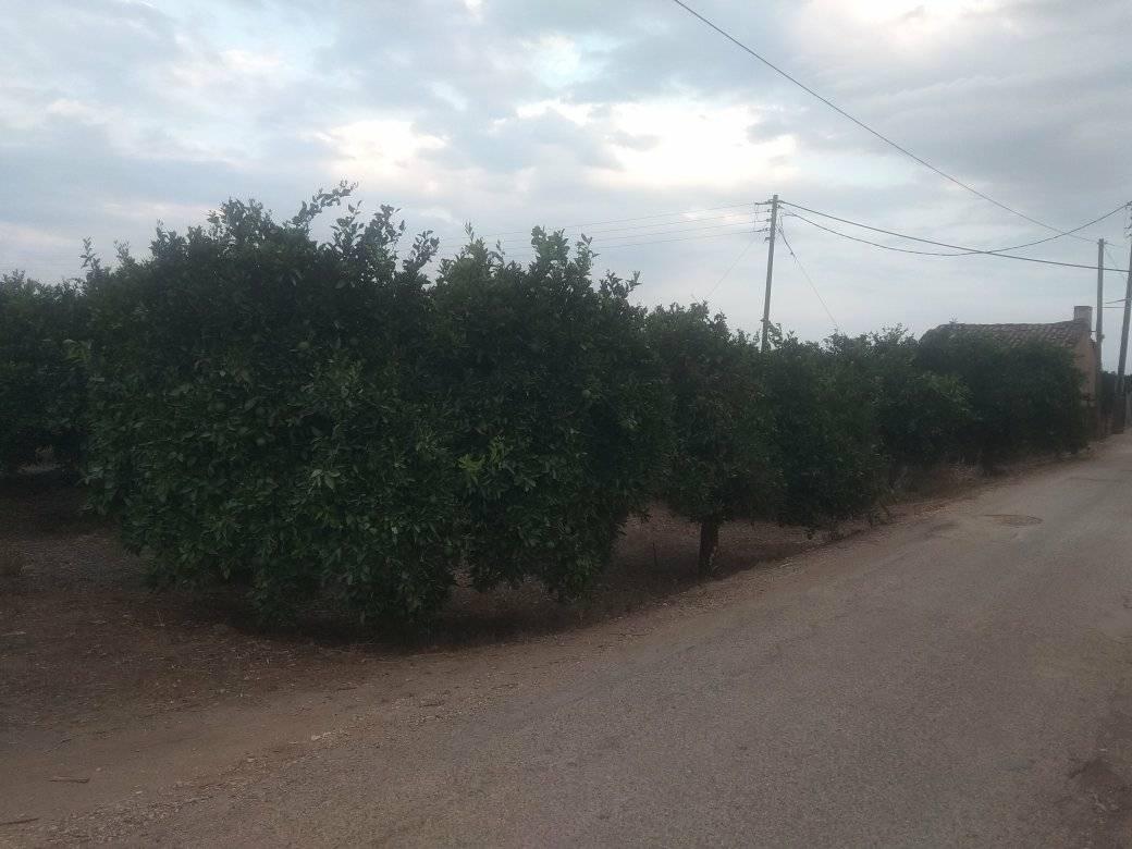 forsale-plot-inachos-argolida2.jpg
