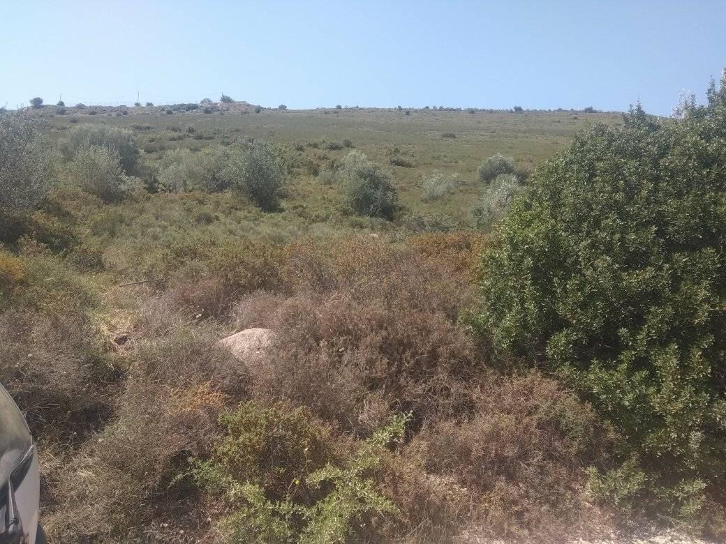 forsale-plot-leukakianafplioargolida.jpg