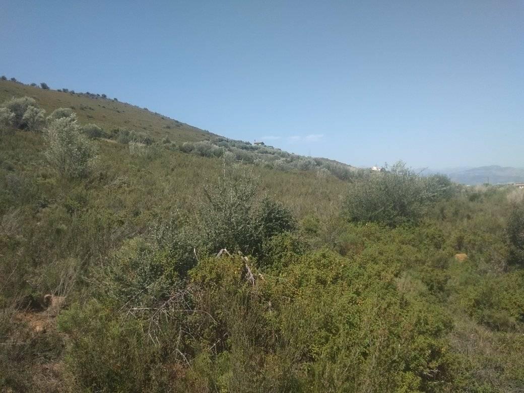 forsale-plot-leukakianafplioargolida5.jpg