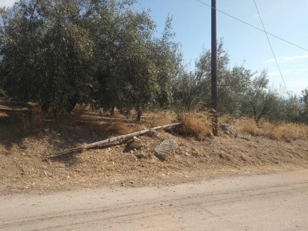 forsale-plot-mporsa-argolida6.jpg