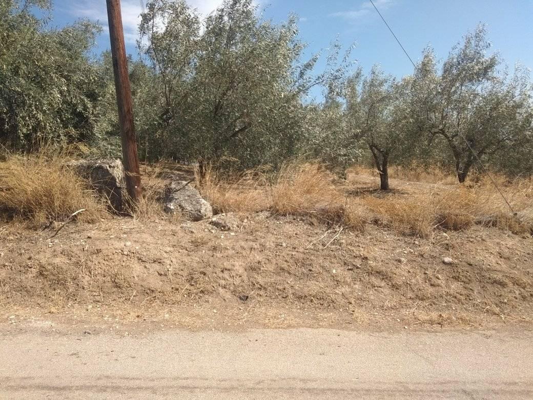 forsale-plot-mporsa-argolida7.jpg