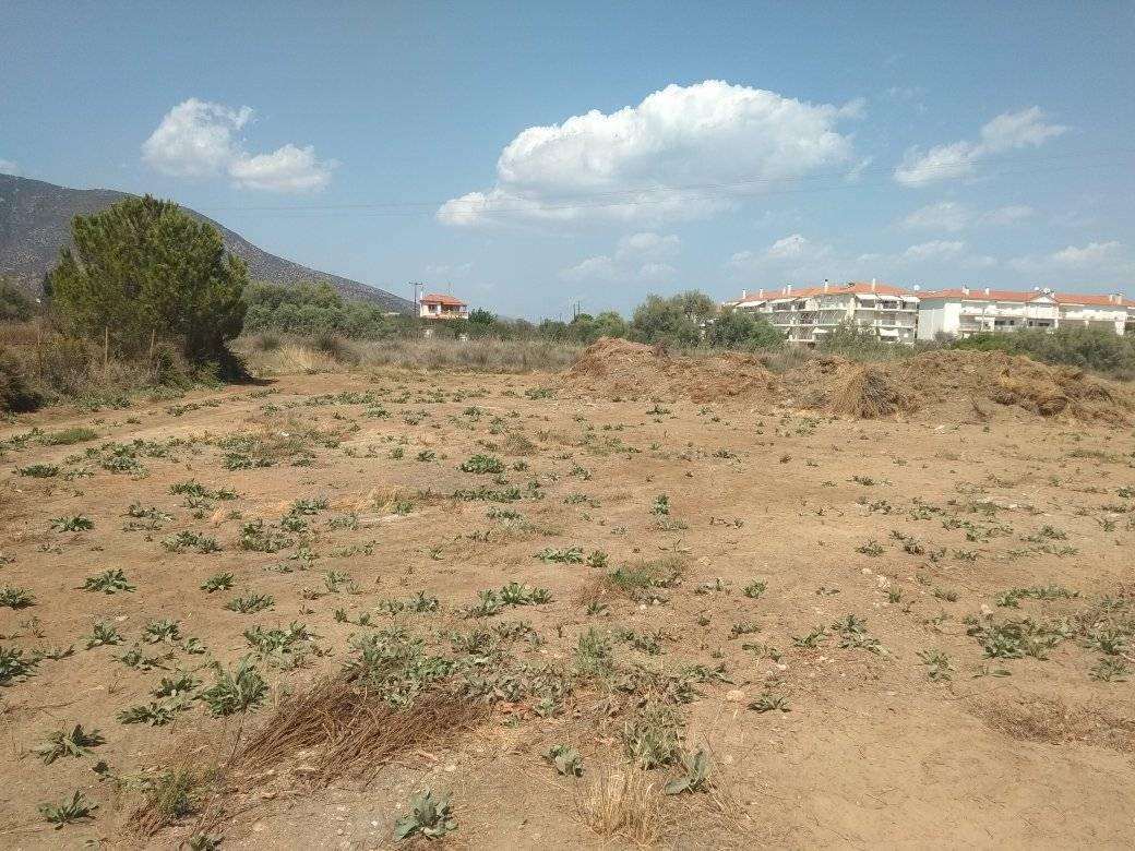 forsale-plot-paralioastros-arcadia2.jpg