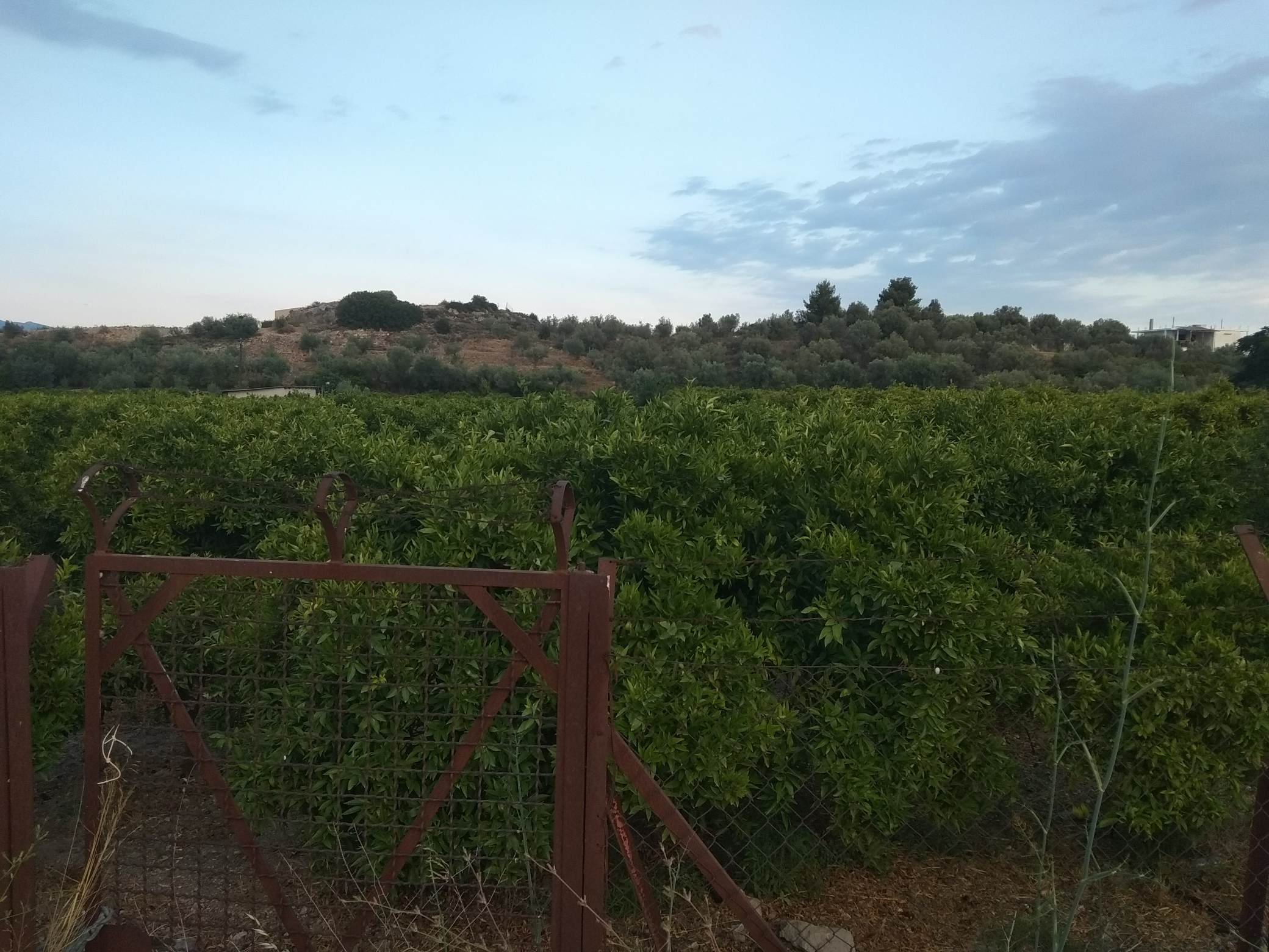 forsale-plot-tolo-argolida.jpg