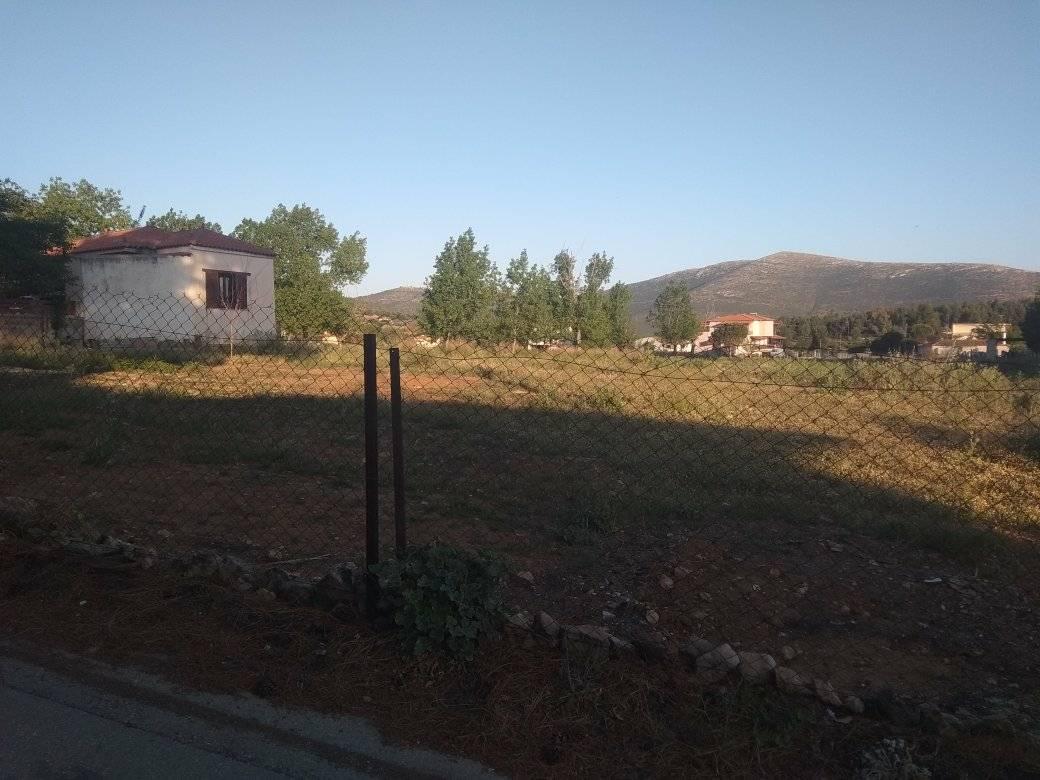 forsaleplot-ligourioargolida.jpg