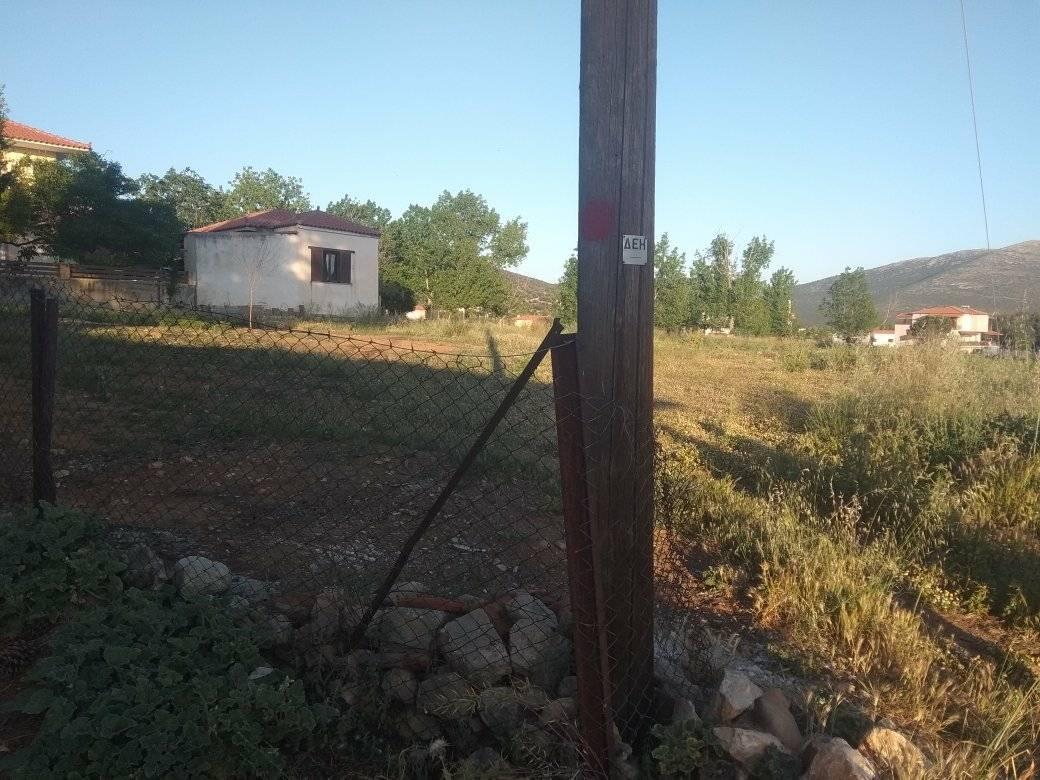 forsaleplot-ligourioargolida3.jpg