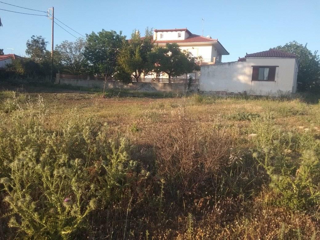forsaleplot-ligourioargolida8.jpg