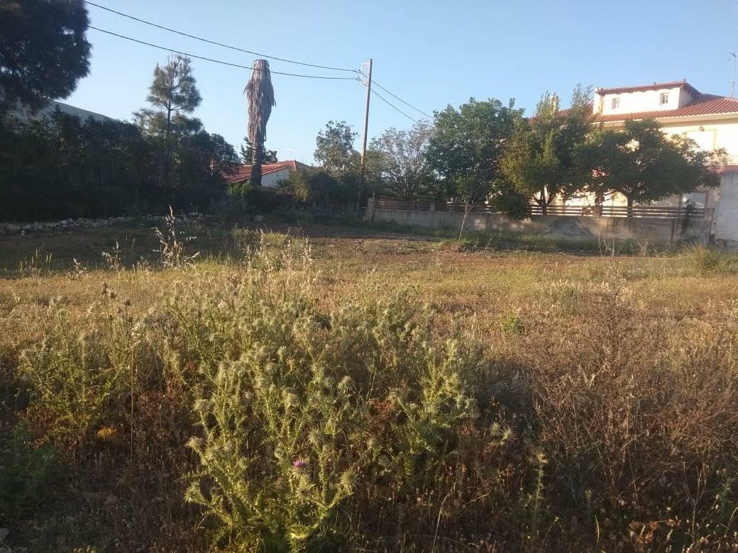 forsaleplot-ligourioargolida9.jpg