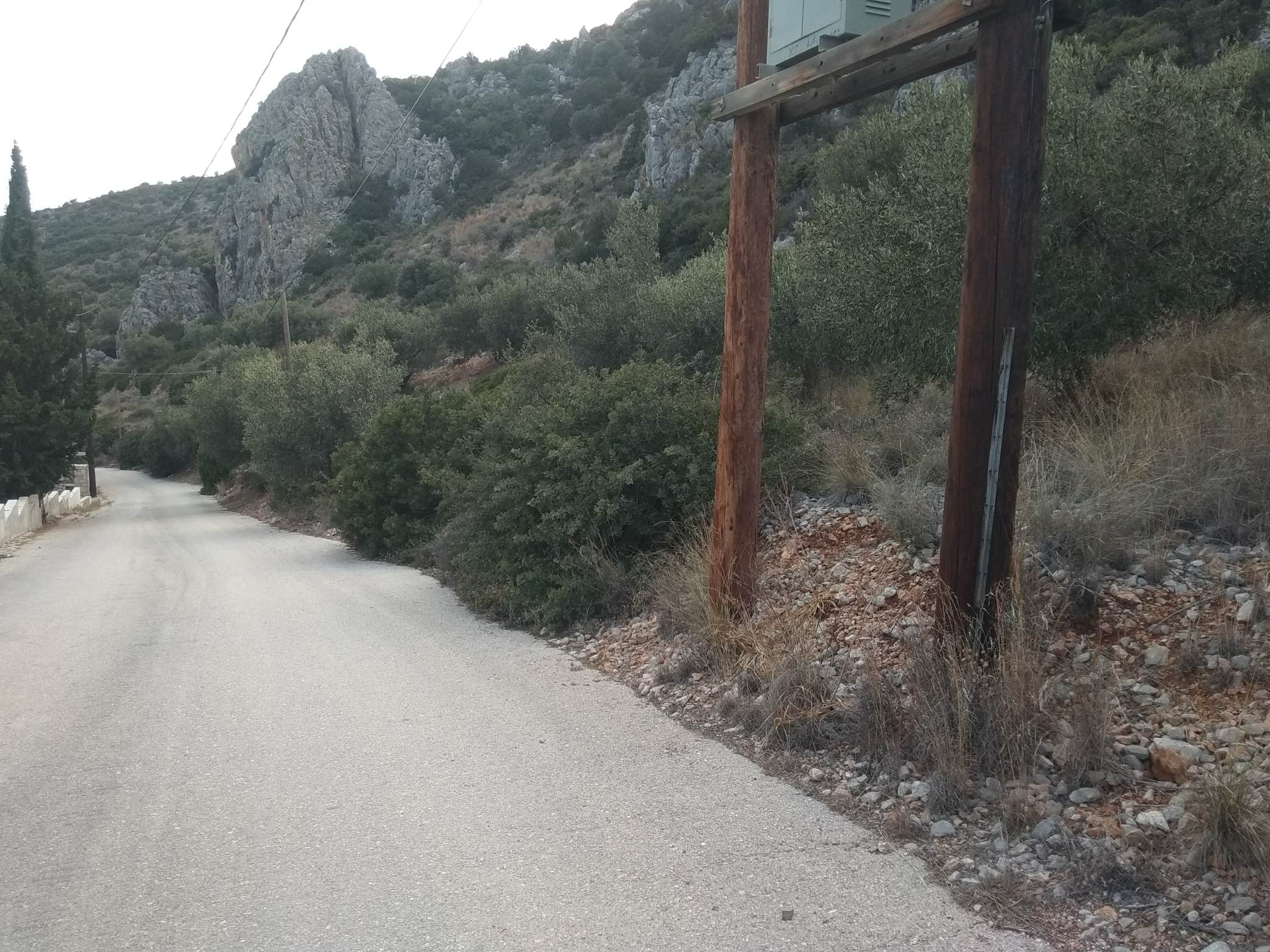 forsaleplot-toloargolida50.jpg