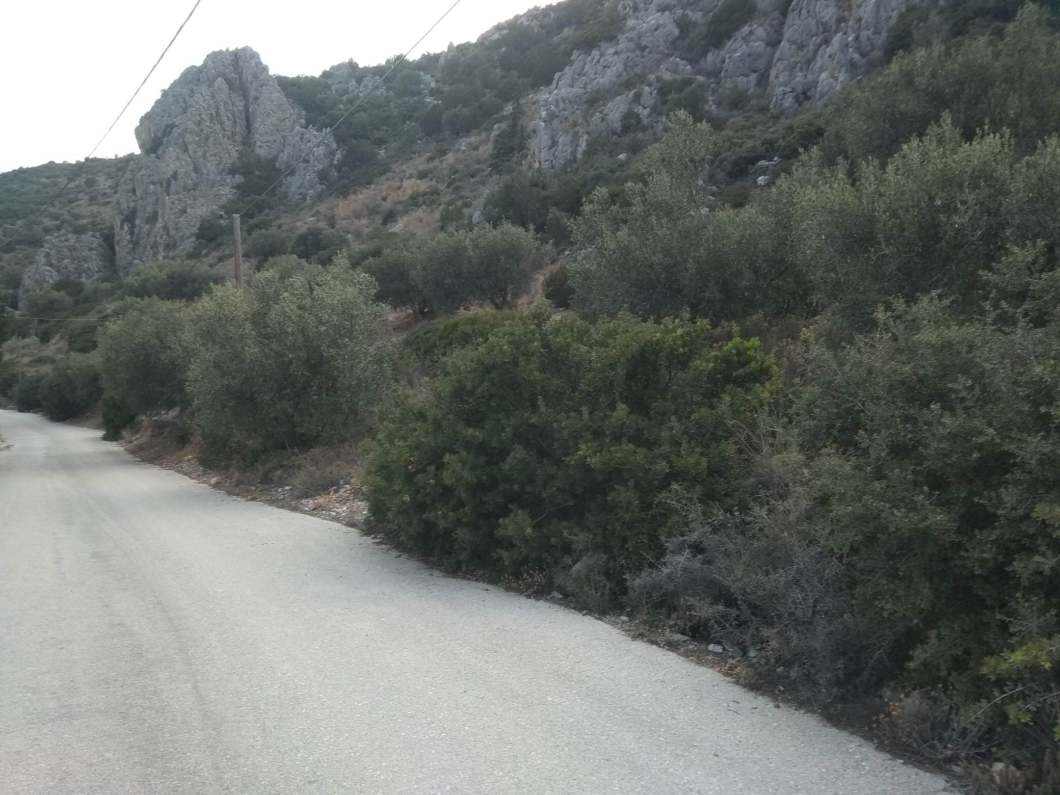 forsaleplot-toloargolida55.jpg