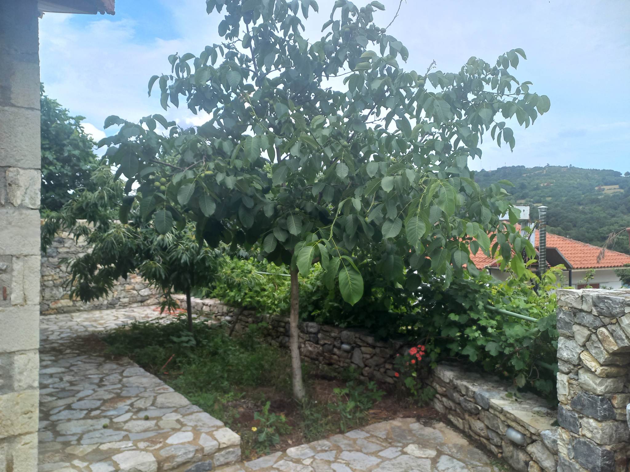 house-forsale-karya-argolida18.jpg