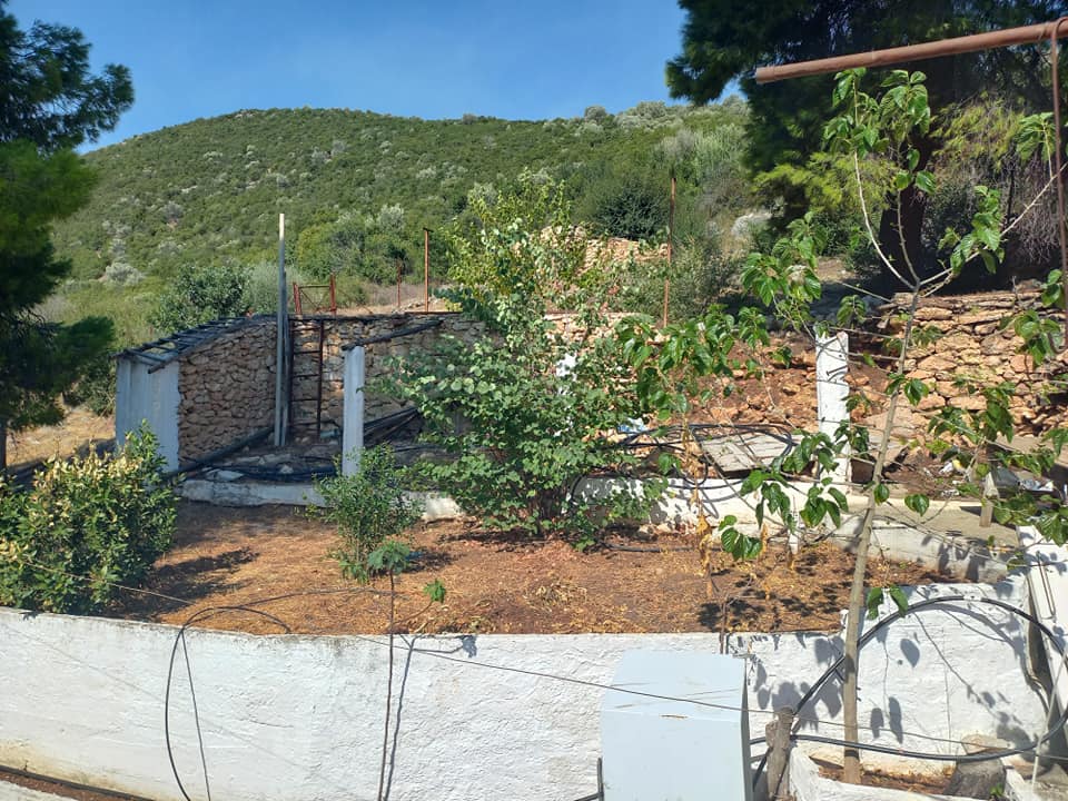 houseforsale-karya-argos-argolida7.jpg