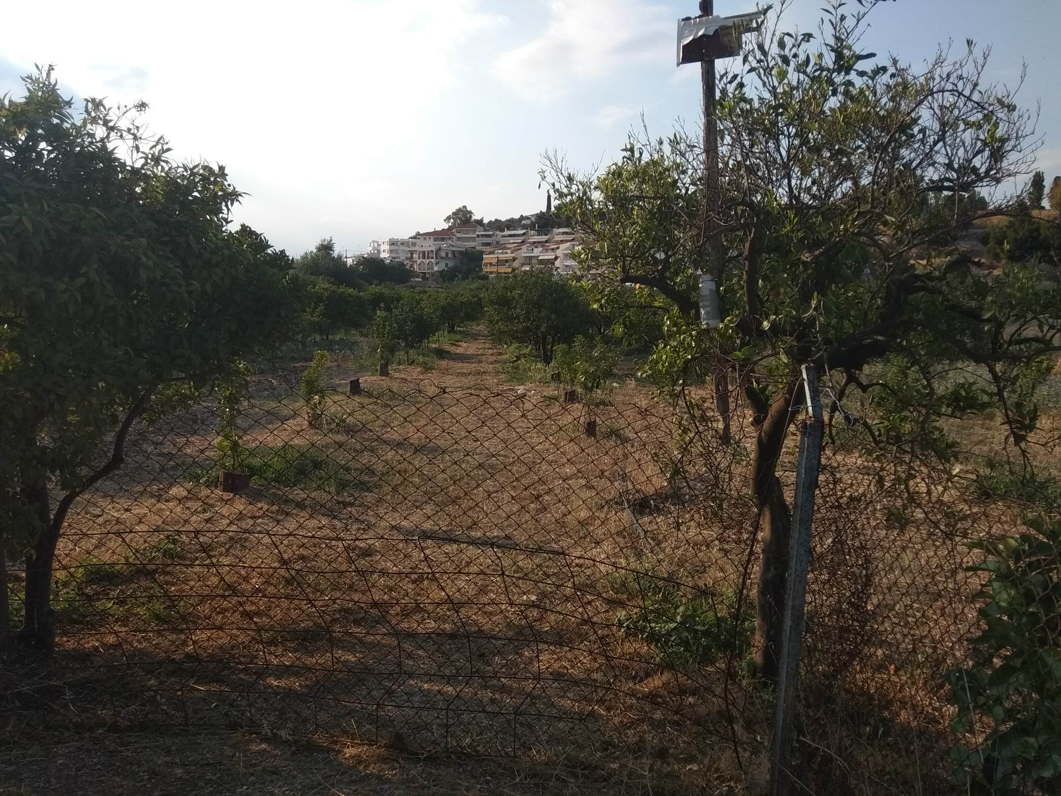 plotofand-plakadrepanou-argolida2.jpg