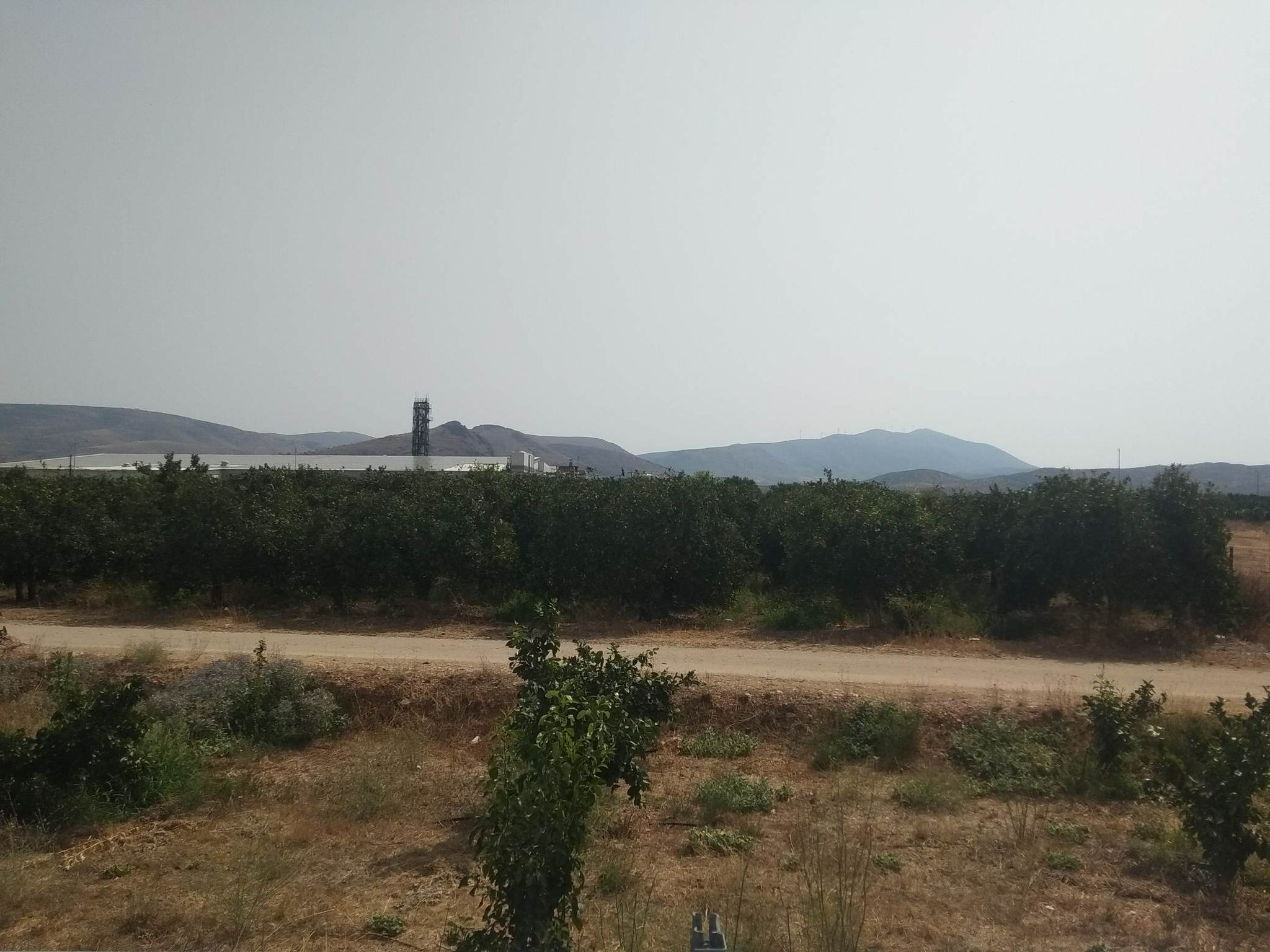 sale-plot-agia-triada-argolida.jpg
