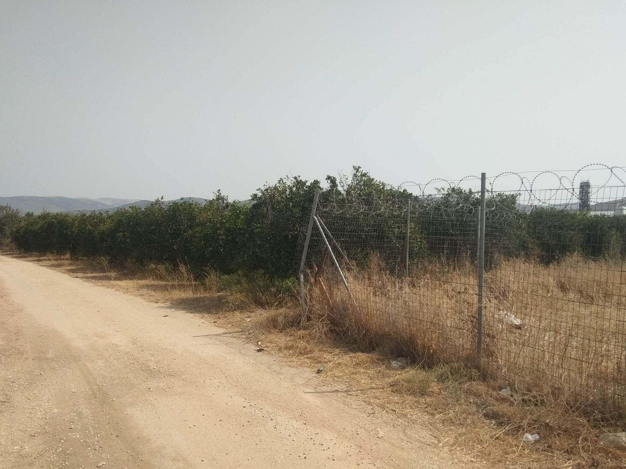 sale-plot-agia-triada-argolida3.jpg