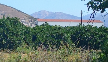farmplotforsaleargos2.jpg