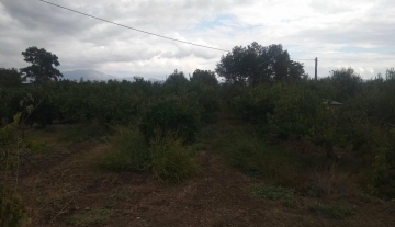 forsale-plot-argos-argolida50.jpg
