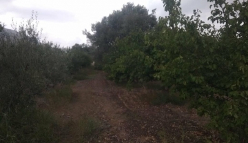 forsale-plot-argos-argolida52.jpg