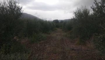 forsale-plot-argos-argolida54.jpg