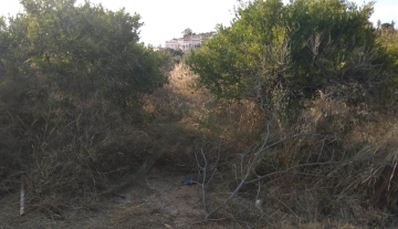 forsale-plot-drepano-plaka-argolida.jpg