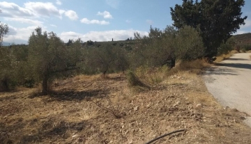 forsale-plot-mporsa-argolida10.jpg