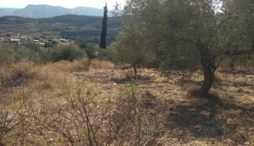 forsale-plot-mporsa-argolida11.jpg