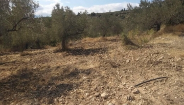 forsale-plot-mporsa-argolida12.jpg