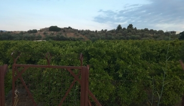 forsale-plot-tolo-argolida.jpg