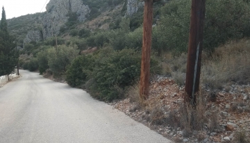 forsaleplot-toloargolida50.jpg