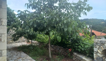 house-forsale-karya-argolida18.jpg