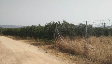 sale-plot-agia-triada-argolida3.jpg